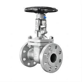 Wedge Gate Valve